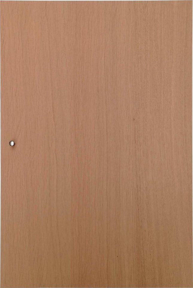 Hammel Furniture Türfront Mistral Kubus 064, Tür passend zur Sideboard & Bücherregal (1 St), für Korpus 028 und 031, Blick nach rechts oder links, Breite: 43 cm von Hammel Furniture