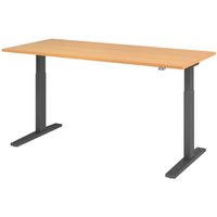 Hammerbacher Elektrisch höhenverstellbarer Schreibtisch 1-stufig, C-Fuß, BxT 1.800 x 800 mm, Buche, grau von Hammerbacher
