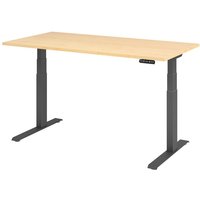 Hammerbacher Elektrisch höhenverstellbarer Schreibtisch 2-stufig, Memory-Schalter, C-Fuß, BxT 1.600 x 800 mm, Ahorn, graphit von Hammerbacher