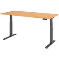 Hammerbacher Elektrisch höhenverstellbarer Schreibtisch 2-stufig, Memory-Schalter, C-Fuß, BxT 1.800 x 800 mm, Buche, graphit von Hammerbacher