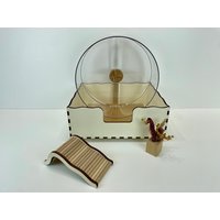 Laufradbox Für Hamster - Inkl. Leiter von Hamsterherz