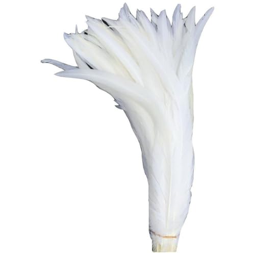 50 Stück weiße Hahnschwanzfedern zum Basteln, Hahnfedern, Hochzeitsfedern, Dekoration, Federn für Kleidung, 30–35 cm 50 Stück weiße Hahnschwanzfedern zum Basteln, Hahnfedern, Hochzeitsfedern, Dekoration, Federn für Kleidung, 30–35 cm von Hamthuit