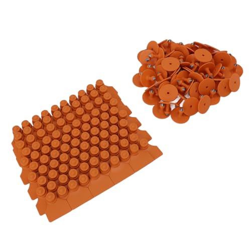 Hamwesh Viehohr -Ohr -Tags, Leere TPU Ohr Tags für Viehschweine Pferdesalfschweine Ziege mit Tieridentifikations für die Landwirtschaftliche Bewirtschaftung Hamwesh Viehohr -Ohr -Tags, Leere TPU Ohr Tags für Viehschweine Pferdesalfschweine Ziege mit Tieridentifikations für die Landwirtschaftliche Bewirtschaftung von Hamwesh