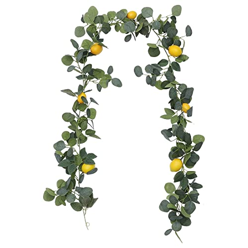 HanOBC 195 cm künstliche Zitronengirlande Frühling Sommer Obst Girlande Seide Grün Eukalyptus Girlande mit Zitronen für Hochzeit Kaminsims Tisch Garten Haus Bogen Dekoration von HanOBC