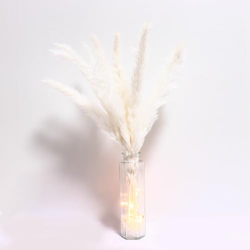 15 Stück Getrocknetes Pampasgras mit Vasen und LED Lichtern,43cm Natürlich Pampasgras Getrocknet Weiss Deko Trockenblumenstrauß für Wohnzimmer Schlafzimmer Boho Tischdeko Hochzeit (Sechseck) von HanYun