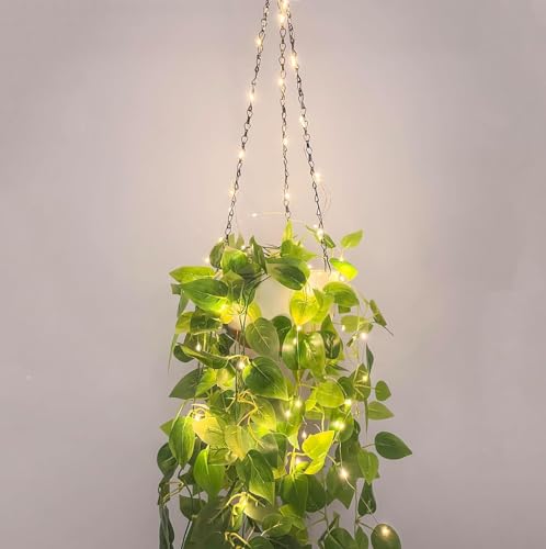 2er Blumentopf hängend mit Lichtern, Bewässerung Blumenampel Hängeampel Blumentopf Pflanzen hängende Blumentöpfe mit Entwässerungslöchern & abnehmbarem hängende Pflanzen für Garten Balkon Wohnzimmer von HanYun