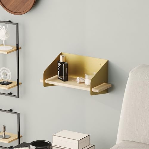 Elegant Gold Wall Shelf, 40 x 20 x 19 cm | 100% Wooden with 1.5 mm Metal Frame, 18 mm Thickness | Stylish Storage Solution for Modern Decor von Hanah Home