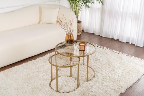 Hanah Home Elegant Coffee Table Set (2 Pieces), Gold & Bronze, 60 x 60 x 43 cm | 100% Tempered Glass & Metal Frame | Stylish & Durable for Modern Living Spaces von Hanah Home