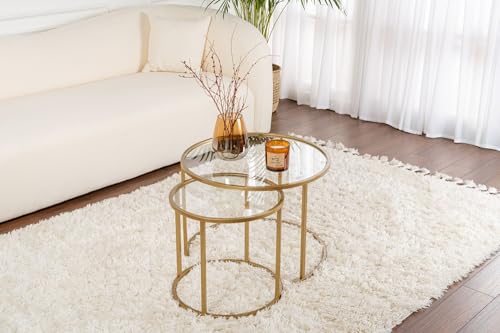 Hanah Home Elegant Coffee Table Set (2 Pieces), Gold & Transparent, 60 x 60 x 43 cm | 4 mm Tempered Glass, 100% Metal Frame | Stylish & Durable for Modern Living Spaces von Hanah Home