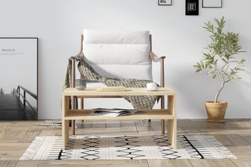 Hanah Home Modern Oak Coffee Table, 80 x 50 x 40 cm | 100% Melamine Coated Particle Board, 18 mm | Wall-Fixable, Extra Storage, Scandinavian Design von Hanah Home