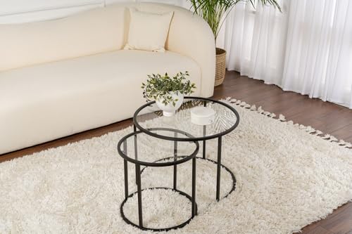 Hanah Home Stylish Coffee Table Set (2 Pieces), Black & Transparent, 100% Tempered Glass, Metal Frame | Small: 42x39x42 cm, Large: 60x43x60 cm | Modern Design for Living Room von Hanah Home