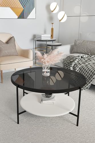Hanah Home Stylish Coffee Table with Tempered Glass Top, Fume & White, 75 x 45 x 75 cm | Durable MDF & Metal Frame | Modern Design with Bottom Shelf von Hanah Home