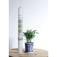 Taufkerze | Kommunionkerze Für Mädchen Und Jungen Mit Namen Datum Beschriftet Grün Verschiedene Größen Verfügbar von HandMakeCandle