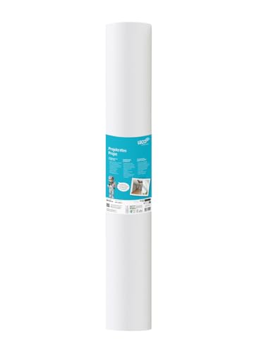Handelskönig Renoviervlies 130 g/m² Projekt-Vlies 0,75 x 25 m = 18,75 m² Glattvlies vorpigmentiert, Anwenderoptimierte Haptik, individuell überstreichbar von Handelskönig