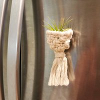 Air Pflanzenhalter Kühlschrankmagnete | Handgefertigte Pflanzen Accessoires Luftpflanzen-Aufhänger-Magnete von HandmadeByUruba