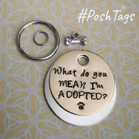 Was Meinst Du, Ich Bin Adoptiert?? Lustiger Rettungshund Haustier Id Marke #poshtags Halsband Weihnachten Geschenkidee Was Meinst Du, Ich Bin Adoptiert?? Lustiger Rettungshund Haustier Id Marke #poshtags Halsband Weihnachten Geschenkidee von HandmadePoshTags