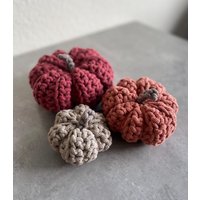 Gehäkelte Kürbisse Für Die Perfekte Herbstdekoration, Dekokürbis, Gehäkelte Herbstdeko, Viele Farbkombinationen Wählbar, Grösse M Gehäkelte Kürbisse Für Die Perfekte Herbstdekoration, Dekokürbis, Gehäkelte Herbstdeko, Viele Farbkombinationen Wählbar, Grösse M von HandmadebyDesignelli