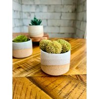 Mini Sukkulenten Töpfe - 2Er Pack Handgemachte Übertöpfe Aus Keramik von HandsOnCeramics