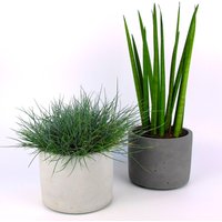 Maceta - Wasserdichter Blumentopf Ø=15cm Aus Beton von HandworkzDE