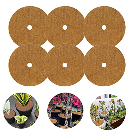 10 Stück Kokosscheibe, Kokos-mulchscheibe, Kübelabdeckung, Winterschutz Für Topfpflanzen, Coconut Mat Disc Mulch Topf Pflanzenschutzmatte Für Home Hotel Garden von Hangarone