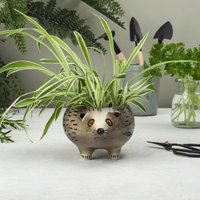 Handgemachter Igel-Pflanzer Von Hannah Turner, Keramik-Igel-Geschenk, Ohne Kunststoff Verpackt von HannahTurnerShop