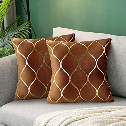 Hanrunsi Kissenbezug Samtpackung mit 2 Dekorativen Kissenbezügen Braun und Gold Quadratische Kissenbezüge 45 cm x 45 cm Kissenbezüge für das Sofa im Wohnzimmer von Hanrunsi