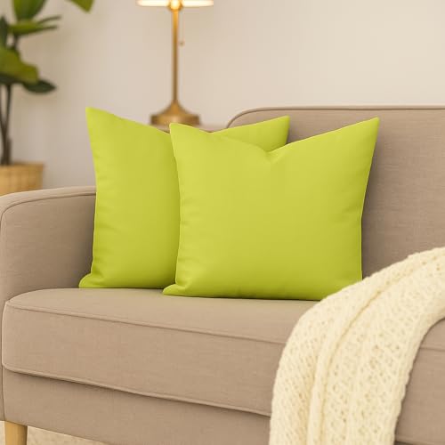 Hans-Textil-Shop 2er Set Kissenbezüge, 100% Baumwolle, Reißverschluss - Kopfkissen, Dekokissen, Couchkissen, Sofakissen (50x50 cm, Hellgrün) von Hans-Textil-Shop