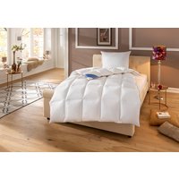 Hanse by RIBECO Daunenbettdecke "Lina" warm Füllung 90% Daunen & 10% Federn 1 Stk. tlg. Hochwertiges Naturprodukt Hanse by RIBECO Daunenbettdecke "Lina" warm Füllung 90% Daunen & 10% Federn 1 Stk. tlg. Hochwertiges Naturprodukt von Hanse By Ribeco