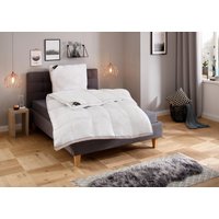 Hanse by RIBECO Kunstfaserbettdecke + Kopfkissen "Max" Unschlagbares Preisleistungsverhältnis Hanse by RIBECO Kunstfaserbettdecke + Kopfkissen "Max" Unschlagbares Preisleistungsverhältnis von Hanse By Ribeco