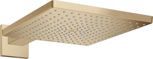 hansgrohe Duschkopf Raindance E 300 Regendusche (Kopfbrause für Wandanschluss) Brushed Bronze von hansgrohe