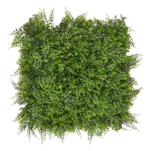 Hansmeier Pflanzenwand Farn - Vertikaler Garten - 50 x 50 cm - schnell montiert & erweiterbar - Sichtschutz - Wandpaneele - Kunstpflanze von Hansmeier