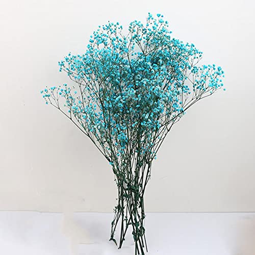 Gypsophila-Blumen, 120 g, 65 cm, Getrocknete Blumen Gypsophila-Blumensträuße Natürliche Blumenarrangements für Heimwerker, Kartendekoration, Dekoration für Hochzeitsfeiern (Blau) von Hanyzcin