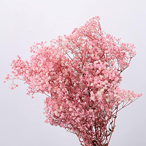 Gypsophila-Blumen, 120g, 65 cm, Getrocknete Blumen Gypsophila-Blumensträuße Natürliche Blumenarrangements für Heimwerker, Kartendekoration, Dekoration für Hochzeitsfeiern (Hell-Pink) von Hanyzcin