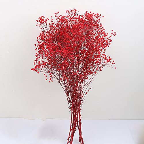 Hanyzcin Gypsophila-Blumen, 120 g, 65 cm, Getrocknete Blumen Gypsophila-Blumensträuße Natürliche Blumenarrangements für Heimwerker, Kartendekoration, Dekoration für Hochzeitsfeiern (Rot) von Hanyzcin