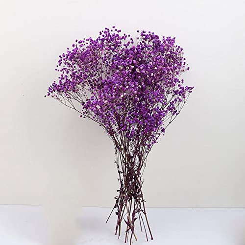 Gypsophila-Blumen, 120 g, 65 cm, Getrocknete Blumen Gypsophila-Blumensträuße Natürliche Blumenarrangements für Heimwerker, Kartendekoration, Dekoration für Hochzeitsfeiern (Violett) von Hanyzcin