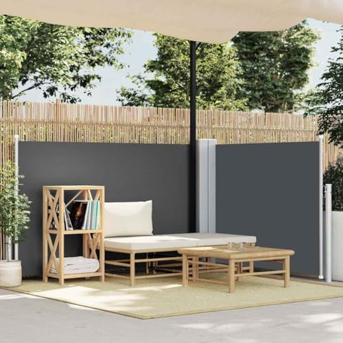 Ausziehbare Seitenmarkise mit UV-beständigem Polyester, Automatische Rückrollfunktion, Sichtschutz für Balkon und Garten, Freistehende Markise, Anthrazit, 100 x 600 cm von HaoChrymec