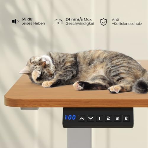 HaoChrymec Höhenverstellbarer Schreibtisch 140 x 60 cm Elektrischer Stehschreibtisch mit Ergonomischem Design, Verstellbarer Höhe von 73 bis 122 cm, Gaming Schreibtisch, Natur HaoChrymec Höhenverstellbarer Schreibtisch 140 x 60 cm Elektrischer Stehschreibtisch mit Ergonomischem Design, Verstellbarer Höhe von 73 bis 122 cm, Gaming Schreibtisch, Natur von HaoChrymec