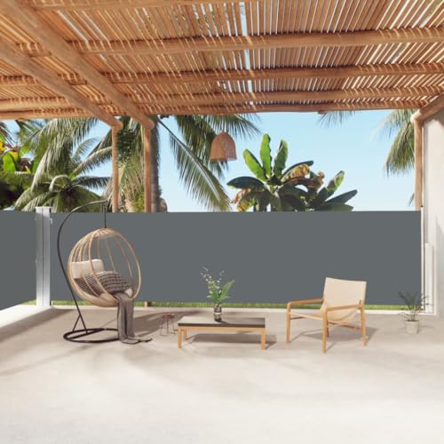 Seitenmarkise Ausziehbar Anthrazit mit UV-beständigem Polyestergewebe, Automatische Rückrollfunktion, Sichtschutz für Balkon und Garten, Freistehende Markise, 160x1000 cm Seitenmarkise Ausziehbar Anthrazit mit UV-beständigem Polyestergewebe, Automatische Rückrollfunktion, Sichtschutz für Balkon und Garten, Freistehende Markise, 160x1000 cm von HaoChrymec