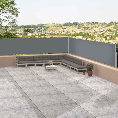 Seitenmarkise Ausziehbar Anthrazit mit UV-beständigem Polyesterstoff, Automatische Rückrollfunktion, Sonnenschutz Balkon und Garten, Sichtschutz, 117 x (0-1200) cm von HaoChrymec