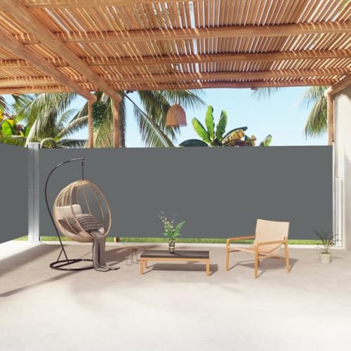 Seitenmarkise Ausziehbar mit UV-beständigem Polyesterstoff, Automatische Rückrollfunktion, Sichtschutz Balkon, Freistehende Markise, Sichtschutz Garten, Anthrazit, 200 x (0-1000) cm von HaoChrymec