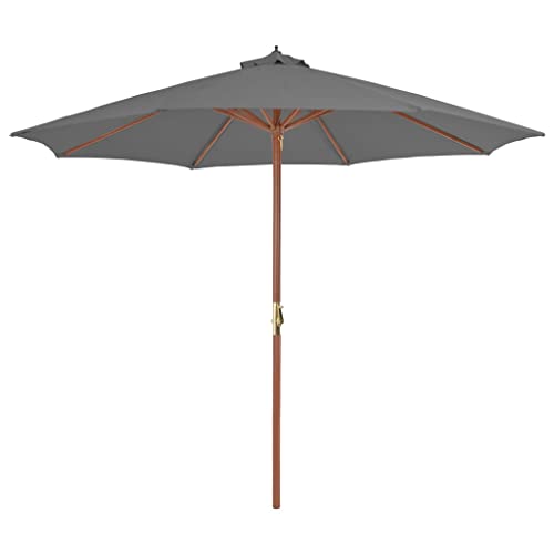 Sonnenschirm mit Holz-Mast, UV-beständiger Polyesterbezug, Kurbelöffnung, Sonnenschutz für Terrasse, Balkon Schirm, Strandschirm, Anthrazit, 300 x 250 cm von HaoChrymec