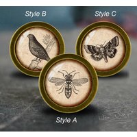 Biene, Vogel, Schmetterling Schubladenknöpfe/Handgemachte Vintage Bronze Knäufe Schrank Möbelknäufe von HaoDesign