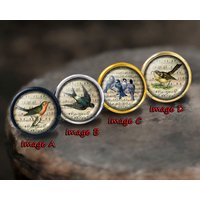 Vogelknopf/Schubladengriff Kommode Schubladengriffe Küchenschrankknopf Möbelknöpfe Pull Kindergriff Möbel Hardware von HaoDesign