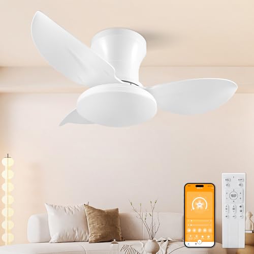 HaoDrisk Deckenventilator mit Beleuchtung - Deckenlampe mit Ventilator und Fernbedienung 3 Farbtemperatur 6 Geschwindigkeit Leise Deckenleuchte mit Ventilator Timer Umkehrsfunktion 65CM HaoDrisk Deckenventilator mit Beleuchtung - Deckenlampe mit Ventilator und Fernbedienung 3 Farbtemperatur 6 Geschwindigkeit Leise Deckenleuchte mit Ventilator Timer Umkehrsfunktion 65CM von HaoDrisk