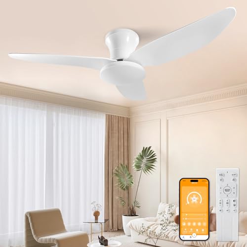 HaoDrisk Deckenventilator mit Beleuchtung - Deckenlampe mit Ventilator und Fernbedienung 3 Farbtemperatur Dimmbar Leise Deckenleuchte mit Ventilator 6 Geschwindigkeit Einstellbar Timer 100CM HaoDrisk Deckenventilator mit Beleuchtung - Deckenlampe mit Ventilator und Fernbedienung 3 Farbtemperatur Dimmbar Leise Deckenleuchte mit Ventilator 6 Geschwindigkeit Einstellbar Timer 100CM von HaoDrisk