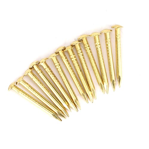 100-teilige Obernägel, die intensiv in Möbelscharnieren verwendet werden (22 mm lang) (15 mm lang) (18 mm lang) von Haofy