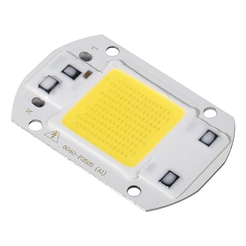 COB-LED-Glühbirne, 20 W, 30 W, 50 W, weiß, warmweiß, Leistungsstarker Integrierter Flutlicht-Chip, Aluminium-Unterstützung, Geringer Stromverbrauch, Lange Lebensdauer (weißes von Haofy