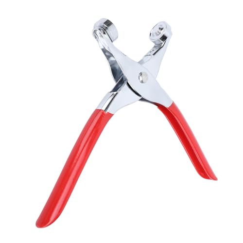 Haofy Ghiloton Pinze Tool Kit für Langlebige Gläser, die für das Handwerk von Reparaturen von 320 Stcs Rondelle -Kleidung für Waschmaschinen für die FAI -Kreation TE Kleidung Eingestellt Sind Haofy Ghiloton Pinze Tool Kit für Langlebige Gläser, die für das Handwerk von Reparaturen von 320 Stcs Rondelle -Kleidung für Waschmaschinen für die FAI -Kreation TE Kleidung Eingestellt Sind von Haofy