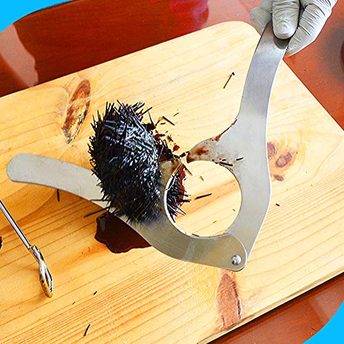 Haofy Seeigel-Schneider-Öffner aus Edelstahl, Multifunktionales Meeresfrüchte-Werkzeug für die Küche, Seeigel-Schneider-Öffner aus Edelstahl Haofy Seeigel-Schneider-Öffner aus Edelstahl, Multifunktionales Meeresfrüchte-Werkzeug für die Küche, Seeigel-Schneider-Öffner aus Edelstahl von Haofy
