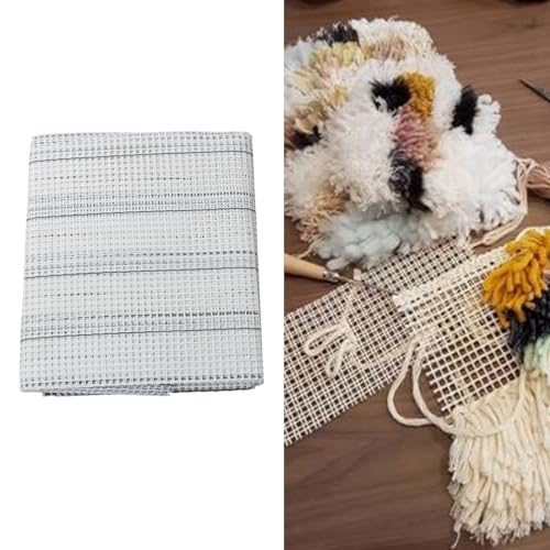 Latch Hook Canvas, Teppich aus Canvas Latch Hooking Mesh Fabric Blankie Teppich Hooking Mesh Canvas Kit DIY Mesh Blech Mehrzweck Teppich Hooking Mesh für Stickstrick (100 * 150 cm) von Haofy